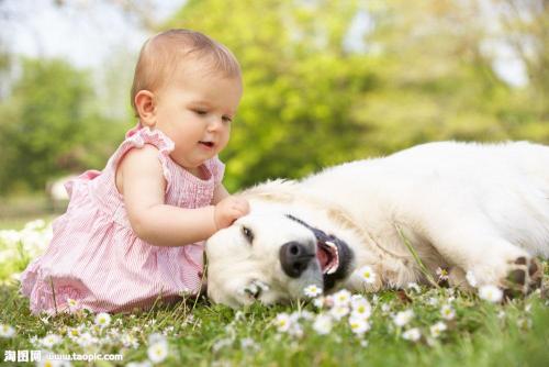 为什么出生后不久的小狗就能跟人类亲近,不会惧怕躲避人