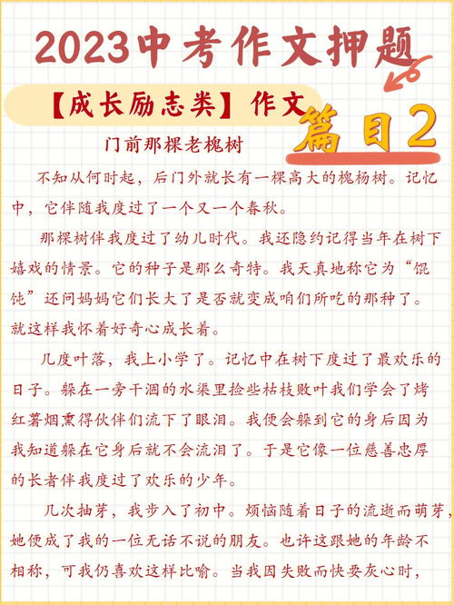 中考满分励志类作文  2022励志学校中考成绩怎么样？