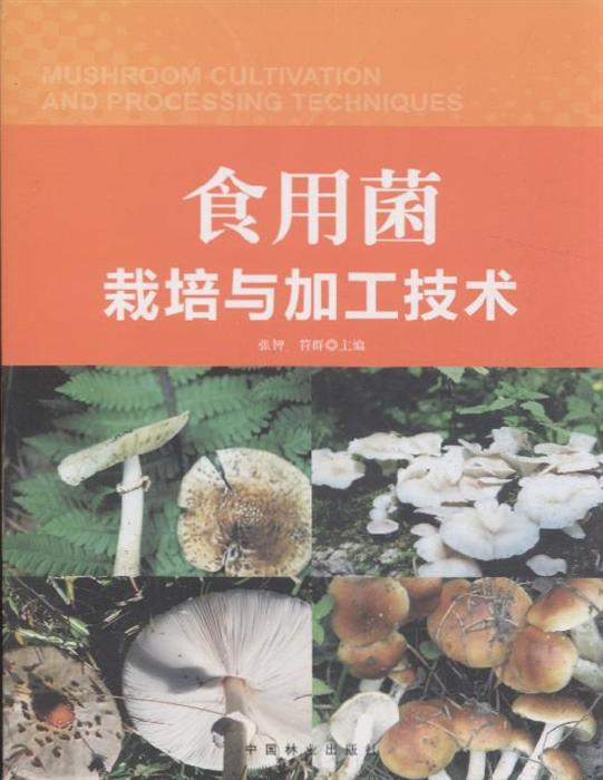 平菇的种植过程