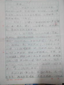 人与人相互关爱的作文 最少490字