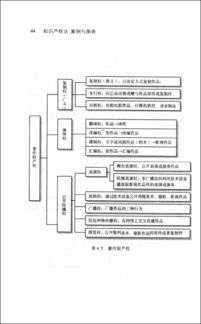 知识产权法案例分析题