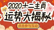 2020年生肖运势揭秘互动视频