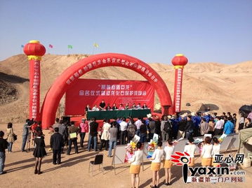 鄯善新疆巨龙 命名仪式及恐龙化石保护野外现场会在鄯善举行 