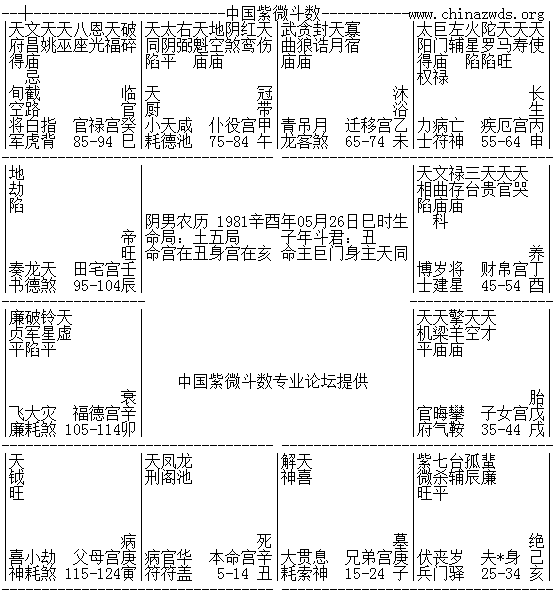 请教紫微的网友,我2013年运程如何 主要是事业 我是武曲贪狼,男,阳历81年6月27日,巳时 非常感谢 