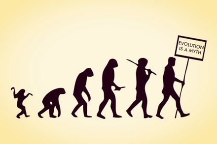 进化论遭质疑,人类真是 猴子 变得 科学家做出解释
