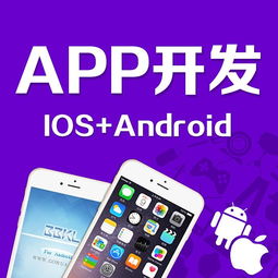 怎么才能找到一家靠谱的APP开发公司