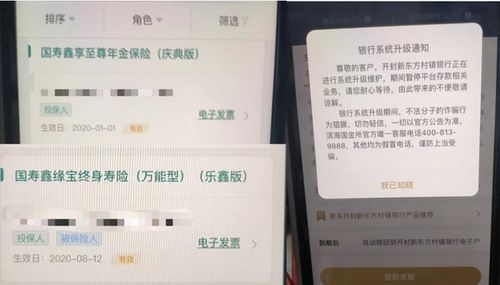 中国人寿学平险保单查询