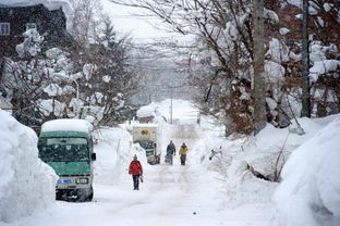 日本北海道每年多会下雪 