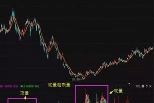 在深圳怎样买股票