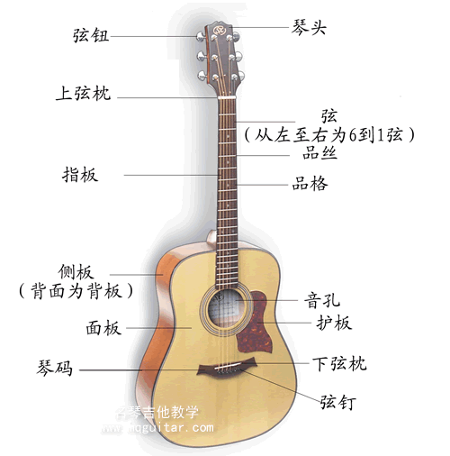 曾轶可学的是古典吉他还是民谣吉他啊 