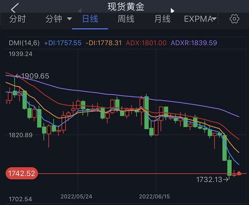 上海黄金交易所实时金价(今日上海黄金交易所实时金价)