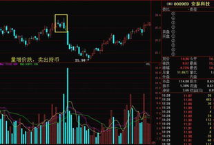 股市持续上涨，选什么类型的股票