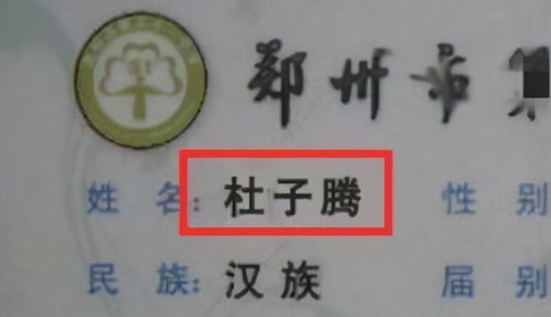 张佳宇名字的含义