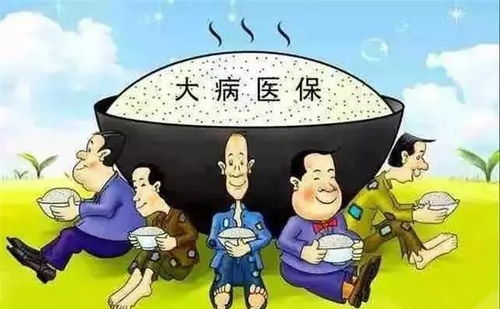 河北省大病保险政策(石家庄大病医疗保险报销)