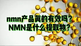 NMN的功效与作用？NMN的功效与作用有哪些