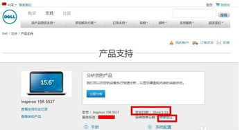 戴尔怎么用快速服务代码查询保修 (免费服务器代码查询)