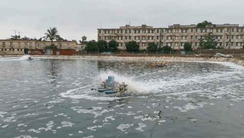 鱼塘肥水的正确方法