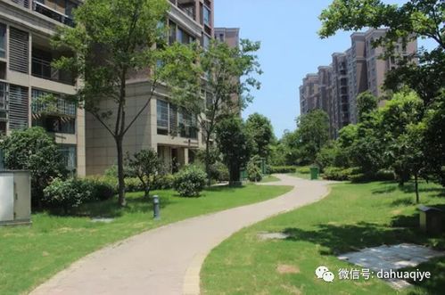 带 4 和 8 的楼层不能买 内行人 不建议买的是这三层