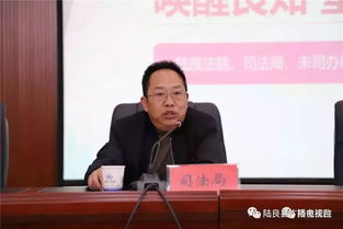 陆良56名被判处缓刑接受社区矫正的未成年人 集体去法院干了一件事