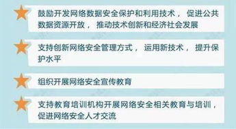 测试 你可以做自己的 首席风险官 吗 