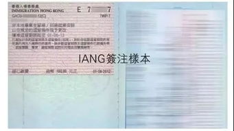 香港iang签证内可以不工作吗(IANG一年不在港可以续签吗)