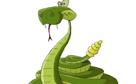 101条蛇闯入福州居民家,马桶还钻出大黑蛇,为什么会有那么多蛇