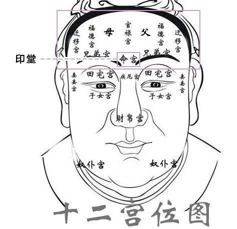 为什么爷爷奶奶都想把你睡成扁平头