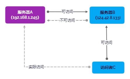 frp原理ssh远程转发区别(frp转发内网虚拟主机)