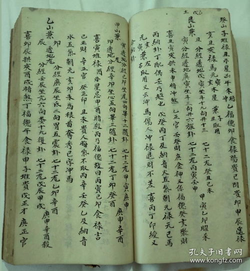 杨公六十甲子日课全书(24山六十甲子日课吉凶断)