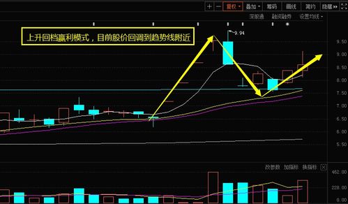 高手如何在中国股市用振幅选股？