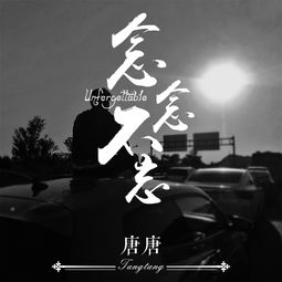 吟游诗人 唐唐 高音质在线试听 吟游诗人歌词 歌曲下载 酷狗音乐 