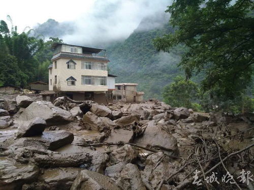 泥石流淹没村庄 一村民救了全村人 