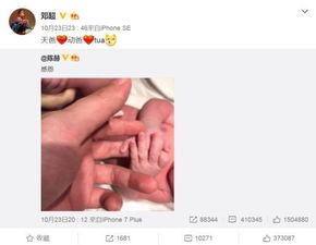 陈晓儿子小名获半个娱乐圈点赞 邓超起名太随意