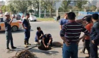 梦见死去的熟人还活着又掉进测所从下水道冲走(梦见死去的人落水淹死了是什么意思)