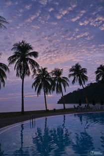 海滨仲夏,《海滨仲夏夜》原文(图1)