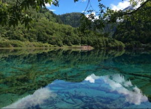 结婚前的九寨沟成都旅拍婚纱摄影,九寨沟旅拍婚纱照攻略