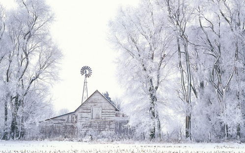 冬天景色图片儿童画热闹的雪景 米粒分享网 Mi6fx Com