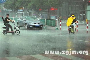 梦见下大暴雨