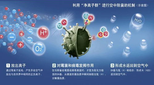 空气净化器防控病毒有用吗 钟南山团队专家这么说