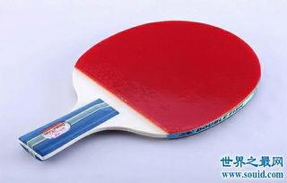 乒乓球前十的牌子排名中国,中国十大乒乓球拍排名
