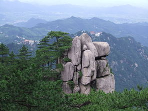 青阳九华山景区停车场收费标准,九华山应该去哪几个景点九华山超实用游玩攻略交通+线路+礼佛