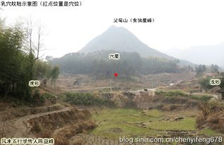 陈益峰 坟地风水常见断语