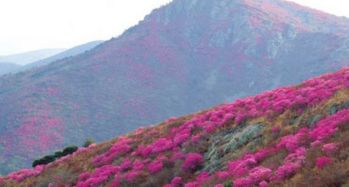 丽水灵鹫山攻略,灵鹫山门票 地址,灵鹫山游览攻略 马蜂窝 