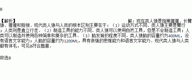 人类与类人猿最本质的区别是什么？