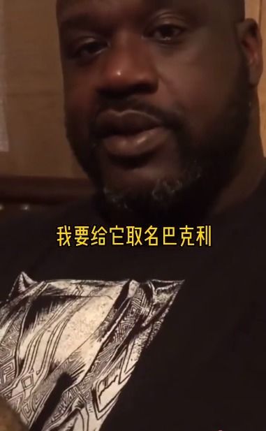 奥尼尔真会玩 送走白虎又养狮虎兽,取名巴克利,乔治爱犬叫科比