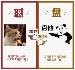 2019年度网络流行语（2019年度网络流行语出炉） 第1张