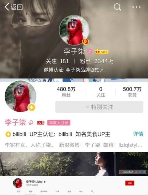 李子柒是如何靠视频盈利的(李子柒怎么盈利)