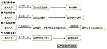 山东大学生医保如何申请？