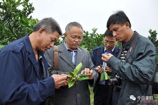 灌阳县农业局推广研究员罗标荣获第五届自治区道德模范荣誉称号