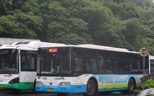 下次去武汉,好想再坐坐武汉的公交车